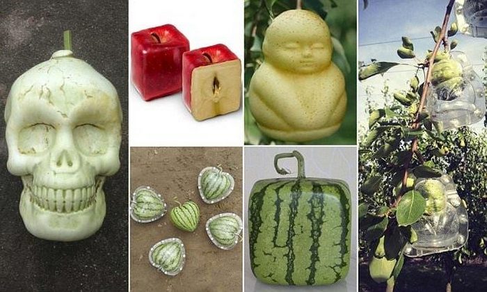 В Китае стали выращивать дизайнерские овощи и фрукты