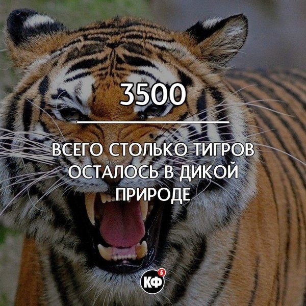 Факты, о которых вы не знали.