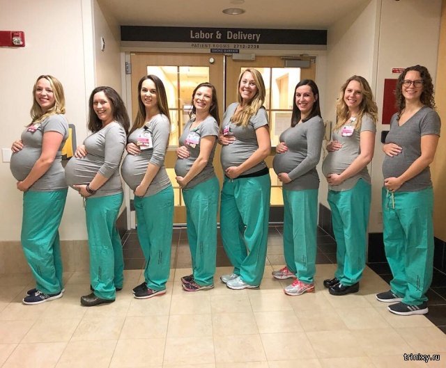 9 медсестёр оказались одновременно беременны