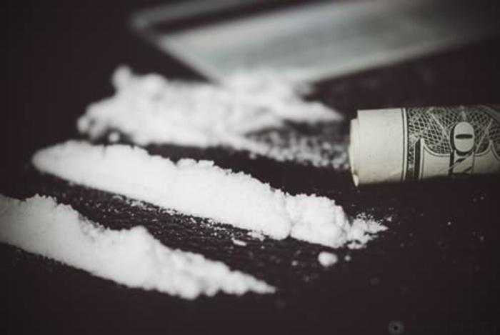 Дикие кабаны съели кокаин и сорвали сделку наркоторговцам
