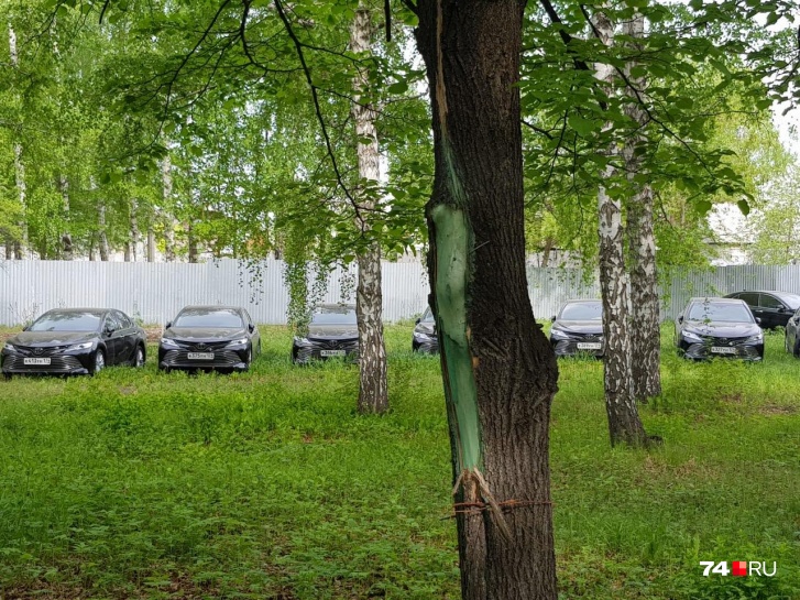 В лесу под Челябинском нашли полсотни новых VIP иномарок