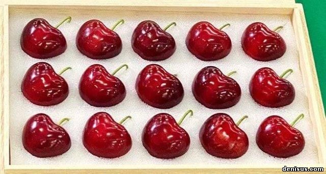 В Японии продали черешню - 15 ягод за 4,4 тысячи долларов