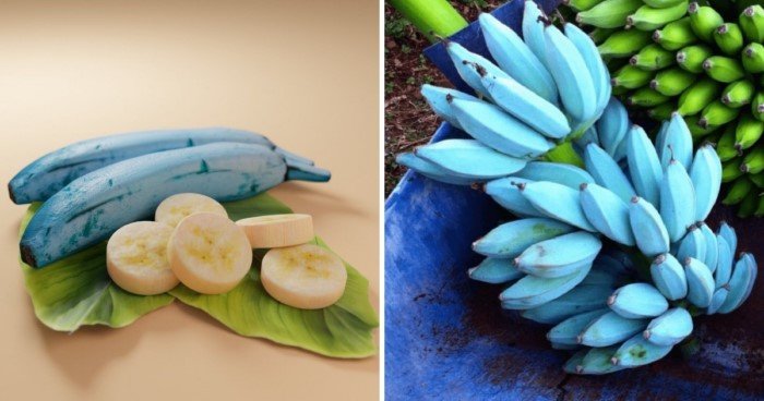 Необычные бананы, которые удивляют
