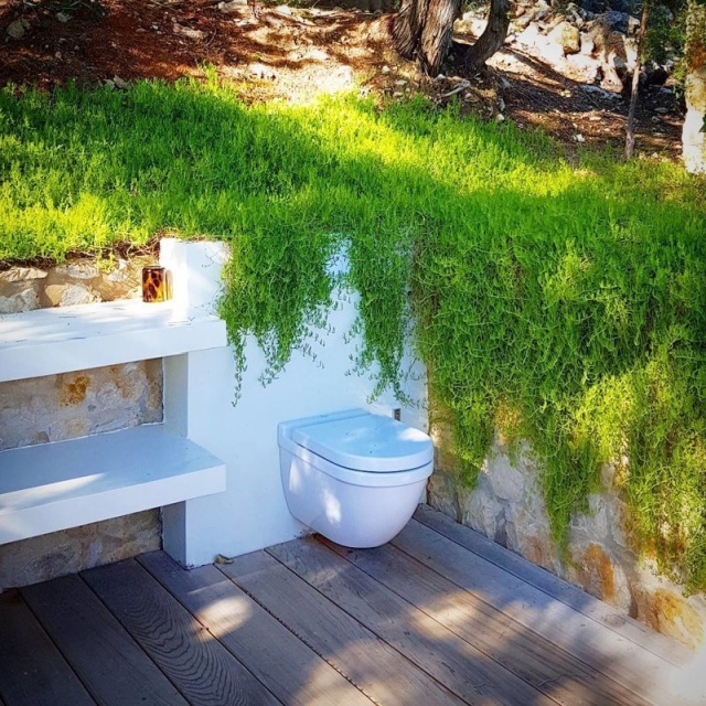 Странные и необычные туалеты