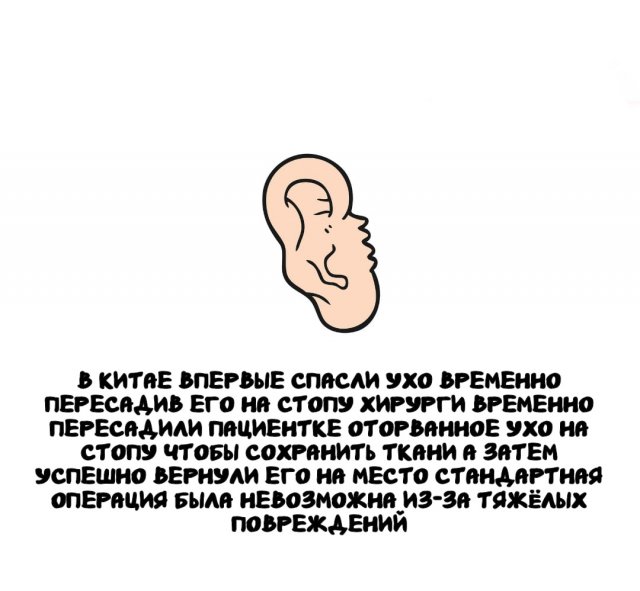 Интересные факты на все случаи жизни