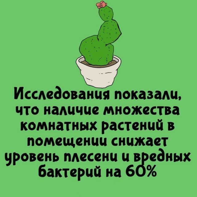 Интересные факты на все случаи жизни