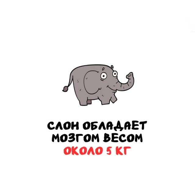 Интересные факты на все случаи жизни