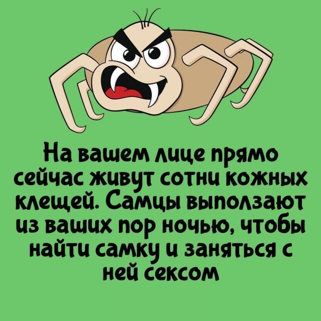 Интересные факты на все случаи жизни