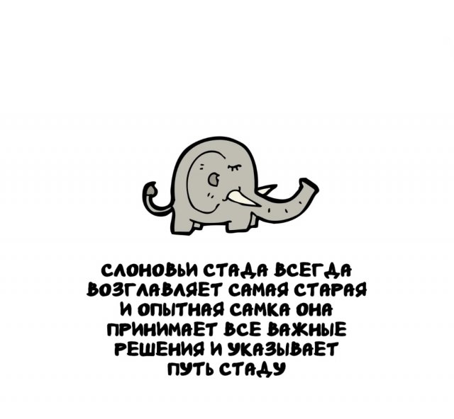 Интересные факты на все случаи жизни