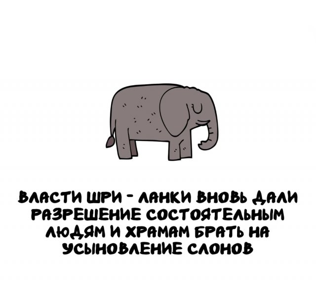 Интересные факты на все случаи жизни