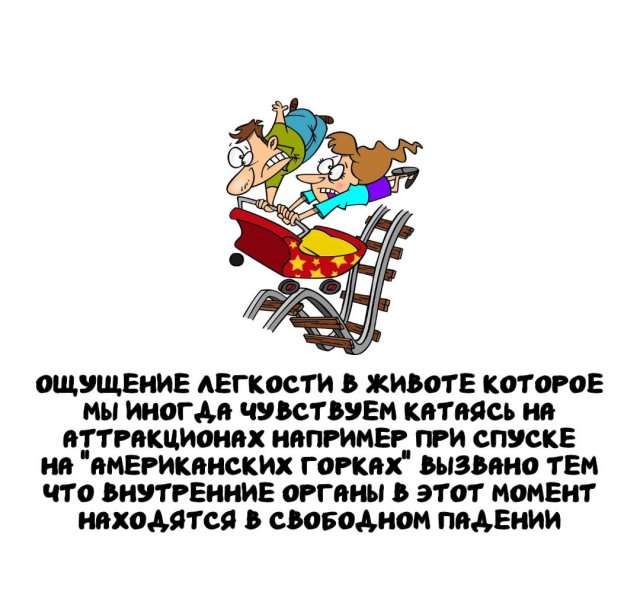 Интересные факты на все случаи жизни