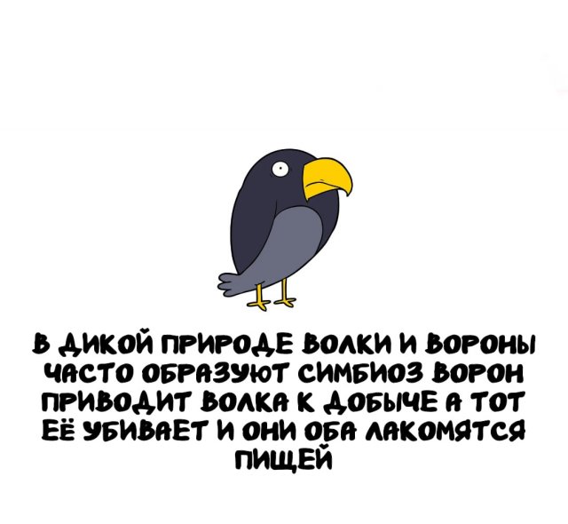 Интересные факты на все случаи жизни