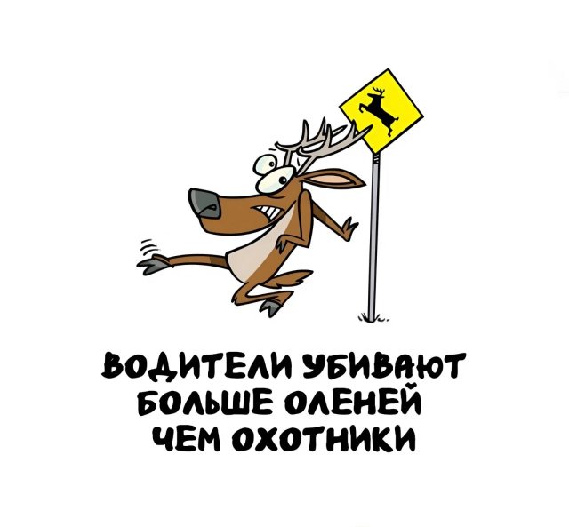 Интересные факты на все случаи жизни