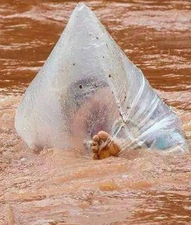 Во Вьетнаме родители отправляют детей в школу в полиэтиленовых пакетах