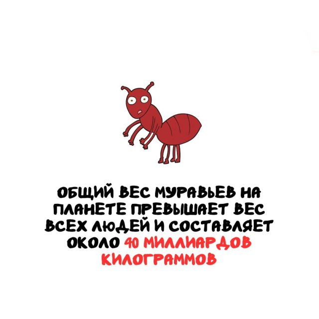 Интересные факты на все случаи жизни