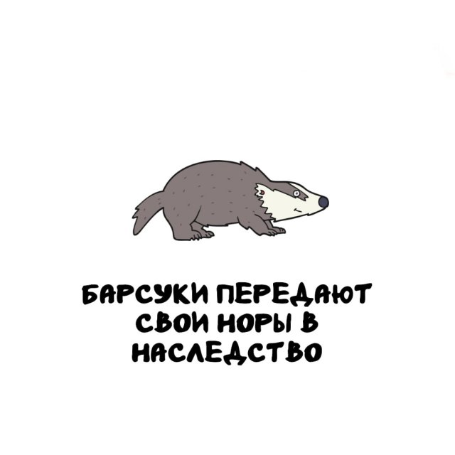 Интересные факты на все случаи жизни