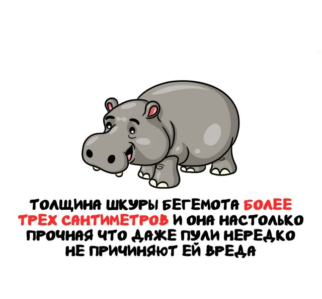 Интересные факты на все случаи жизни