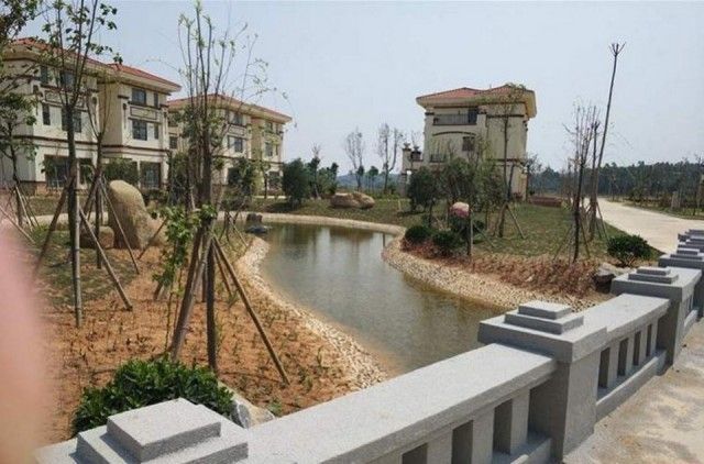 Китайский миллиардер не смог сделать щедрые подарки своим односельчана Китайский миллиардер не смог сделать щедрые подарки своим односельчана