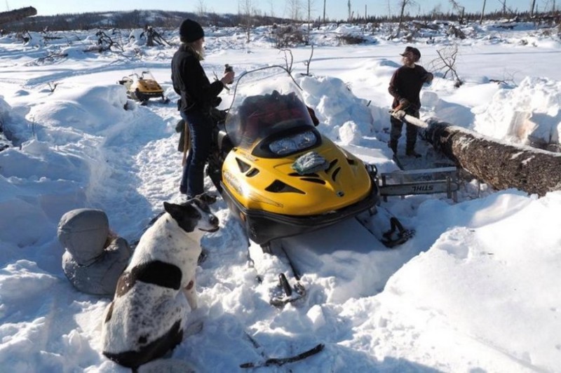 Семья Атчли ушла 18 лет назад от цивилизации жить в глушь на Аляске