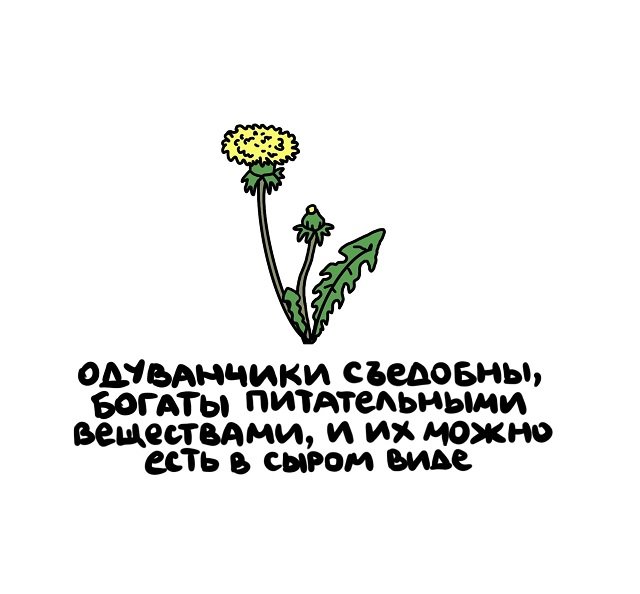 Интересные факты на все случаи жизни