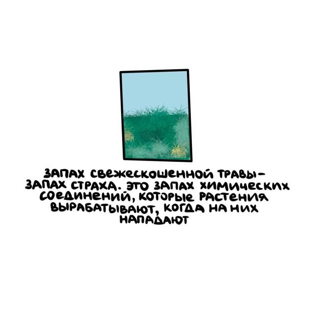 Интересные факты на все случаи жизни
