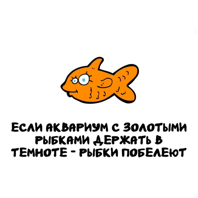 Интересные факты на все случаи жизни