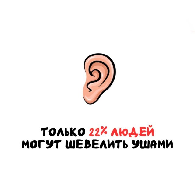 Интересные факты на все случаи жизни