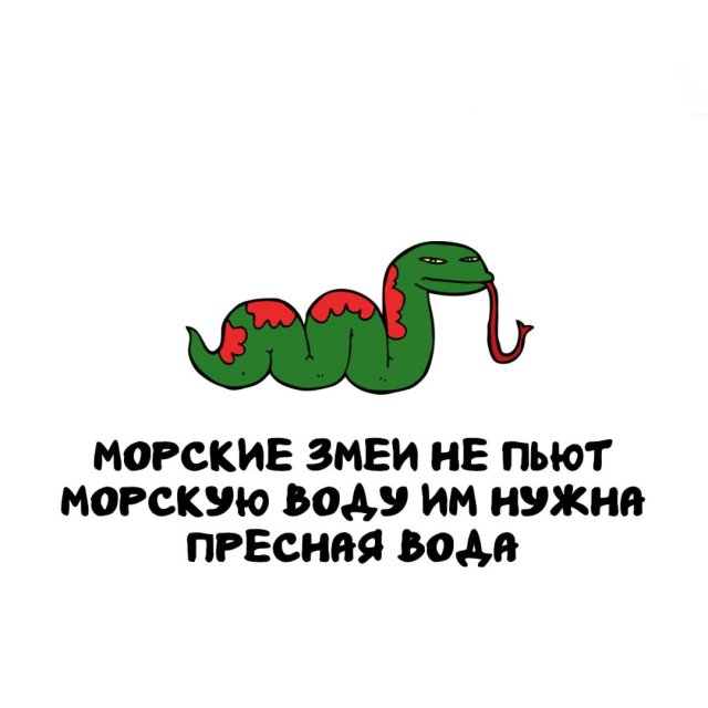 Интересные факты на все случаи жизни