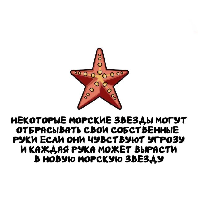 Интересные факты на все случаи жизни