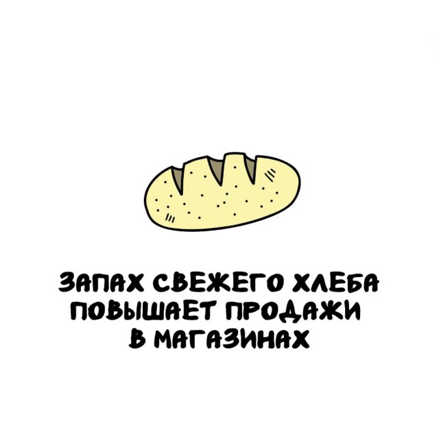 Интересные факты на все случаи жизни