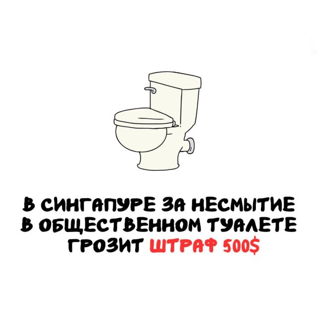 Интересные факты на все случаи жизни